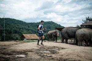 BIB: 
                            <button type="button" onclick="openModal(22423433)" class="btn btn-primary btn-sm float-right btn-popup" data-toggle="modal" data-target=".modal-high-quality">
                        <i class="fas fa-shopping-cart"></i> Add to Cart
                    </button>
                                            <button type="button" onclick="isThisMe(22423433, true)" class="btn btn-success btn-sm float-right btn-popup btn-isme hidden" data-toggle="tooltip" data-placement="bottom" title="นี่คือรูปของคุณใช่ไหม คลิกที่นี่เพื่อเอาเข้าอัลบั้ม">
                        <i class="fas fa-plus"></i> Add to album
                    </button>
                    <button type="button" onclick="isThisMe(22423433, false)" class="btn btn-warning btn-sm float-right btn-popup btn-isnotme hidden">
                        <i class="fas fa-ban"></i> Remove from album
                    </button>